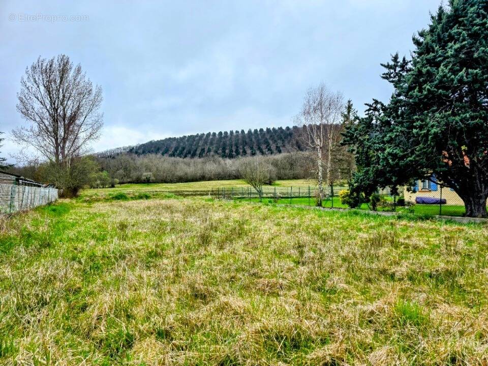 Terrain à LAROQUE-D'OLMES