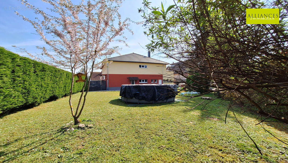 Appartement à ZIMMERSHEIM