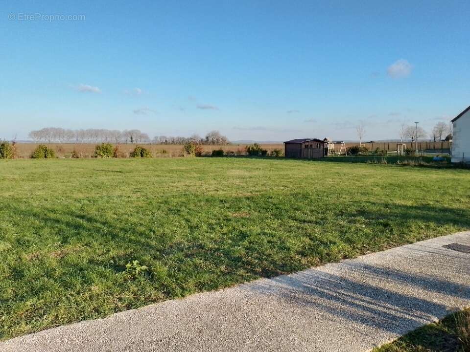 Terrain à LA NEUVILLE-ROY