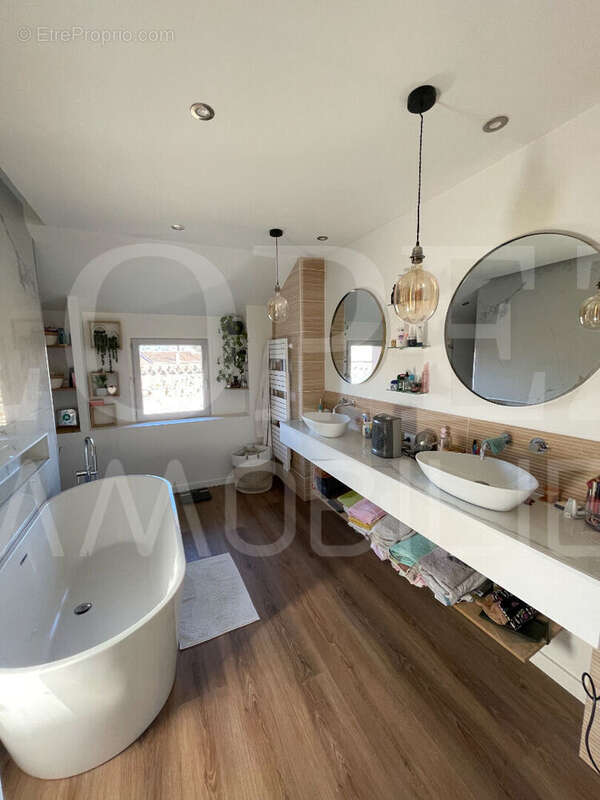 Appartement à MAZAMET