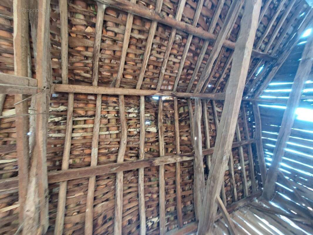 20251218152432 - Maison à ARBAS