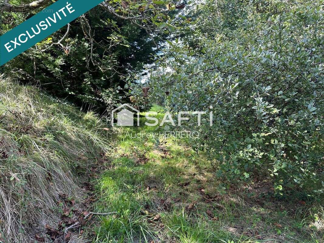 Photo 6 - Terrain à BOULOC