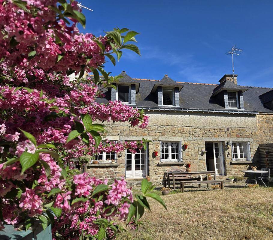 Maison à SAINTE-HELENE