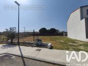 Photo 1 - Terrain à SAINT-CYPRIEN