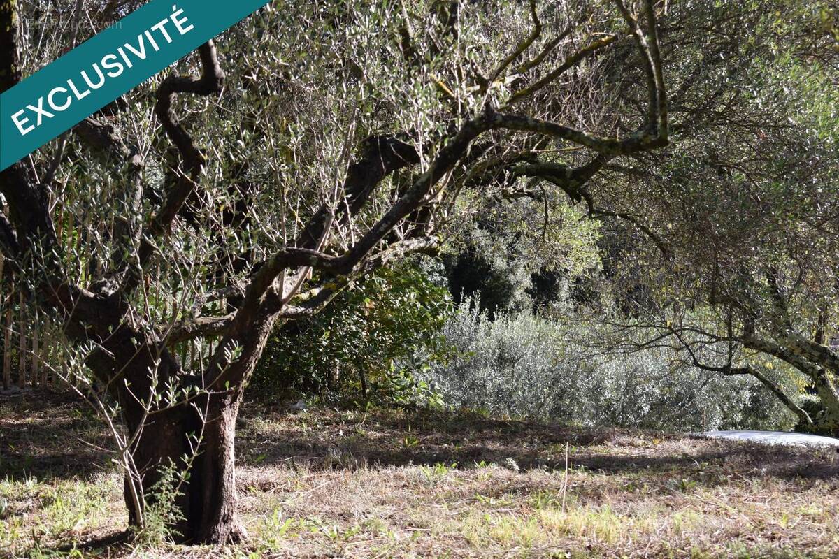 Photo 1 - Terrain à PIGNANS