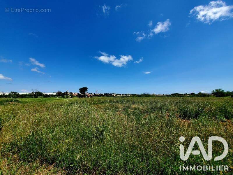 Photo 1 - Terrain à MARSEILLAN
