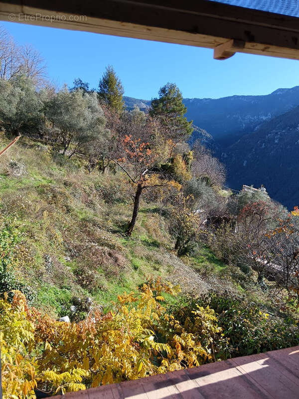 AIGLUN (06) Maison de villa et 13 hectares de terrain - photo 10