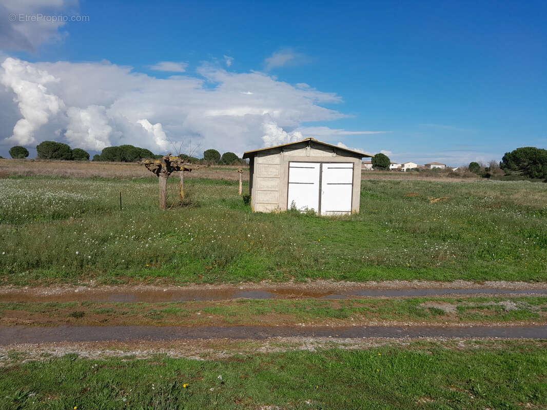 Maison à MARSEILLAN
