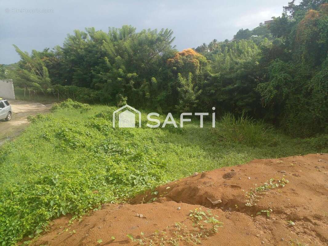 Photo 2 - Terrain à LE VAUCLIN