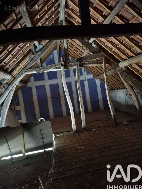 Photo 8 - Maison à CLERY-SAINT-ANDRE