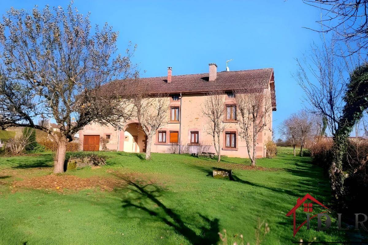 Maison à FRANCALMONT