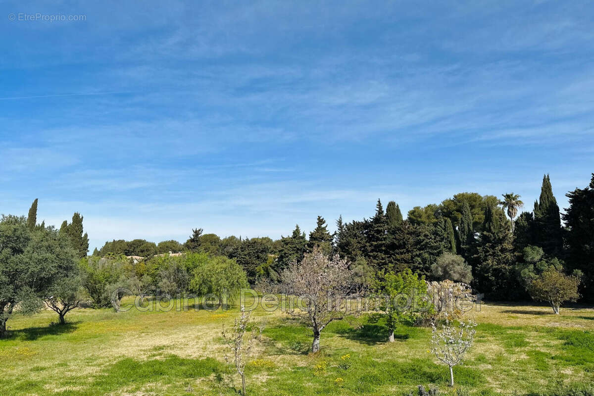 Terrain à SANARY-SUR-MER