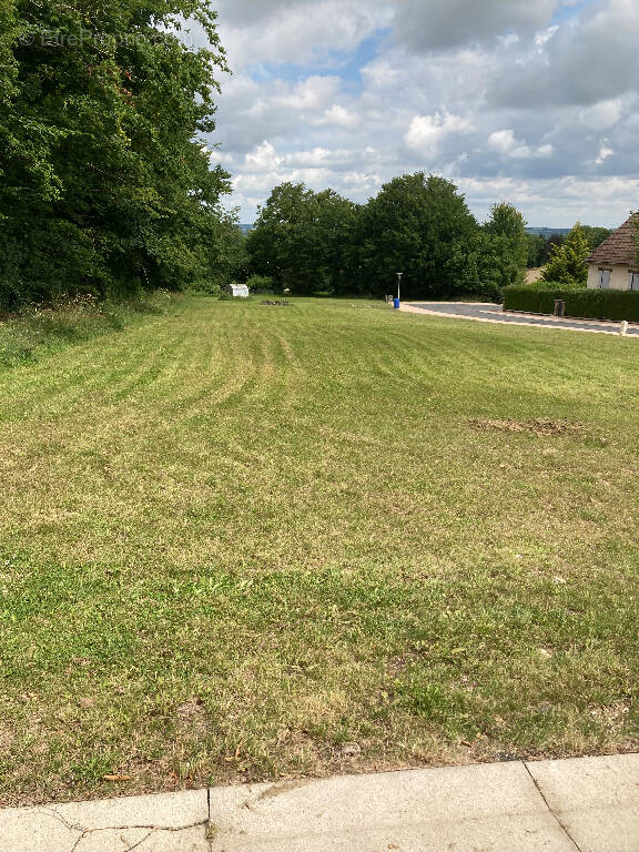 Terrain à SURY-ES-BOIS