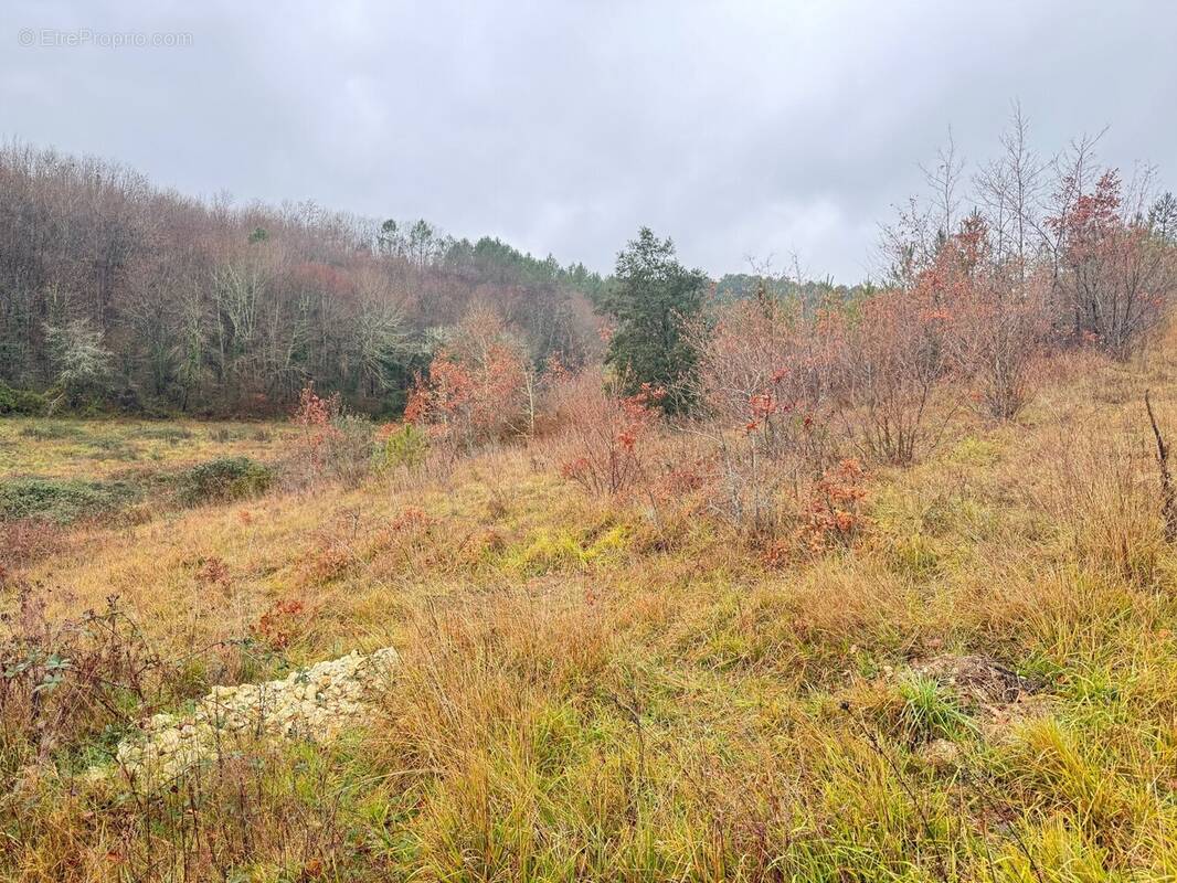 Terrain à TRELISSAC