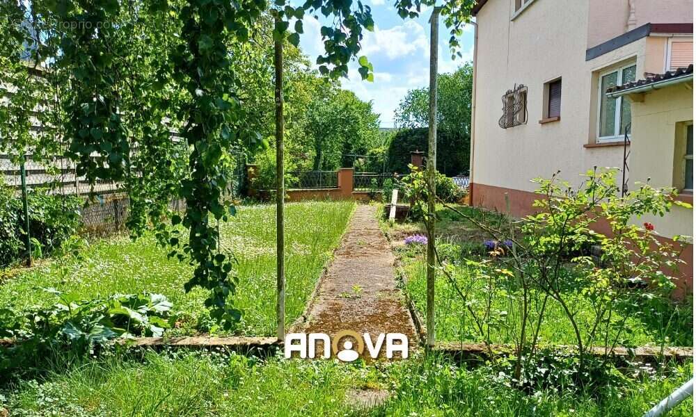 Maison à MOMMENHEIM