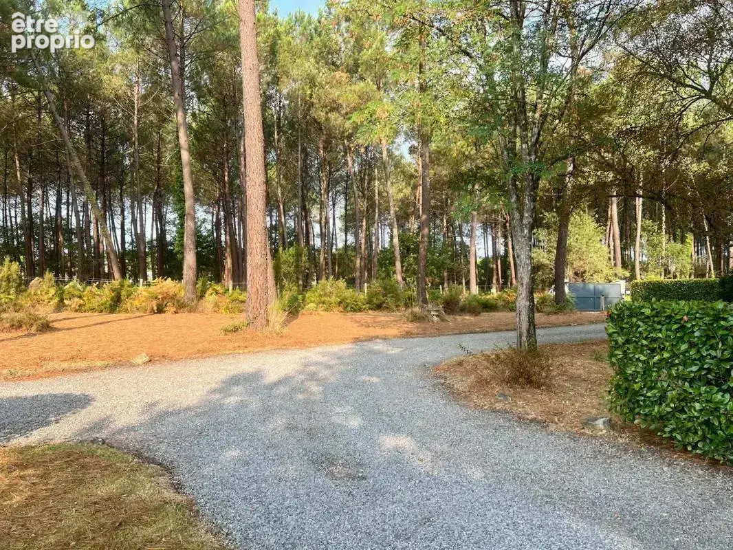 Sanguinet - maison 210 m² sur 1,3 ha - piscine • dépendance - photo 11