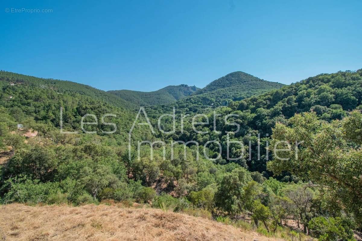 Opportunité dans un environnement privilégié - photo 13