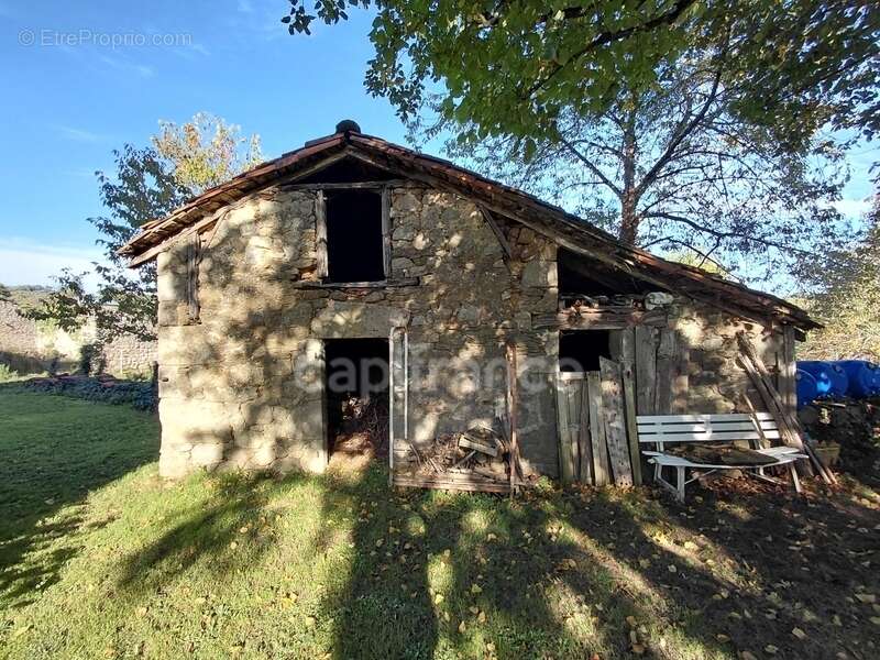 Maison de Maître du XVIIIe siècle avec dépendances et terrain de plus de 3 hectares – Puycapel (15) - photo 4