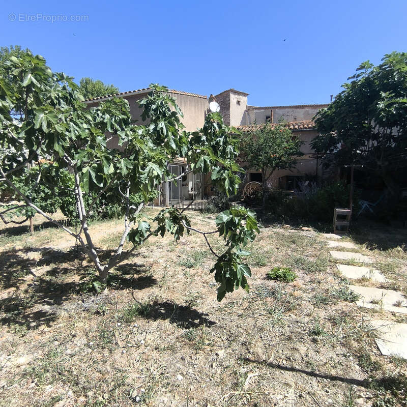 Maison  de charme en pierre avec jardin clos et parking privé - photo 20