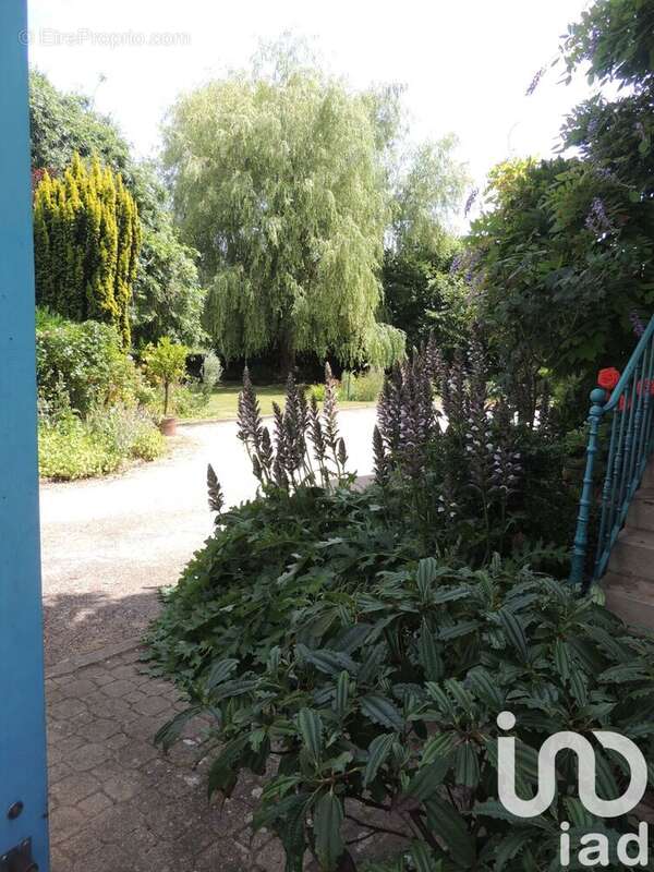 Photo 3 - Maison à MASSILLY