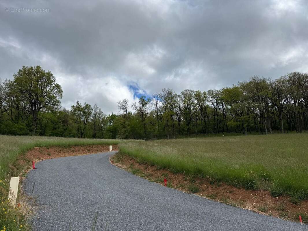 Terrain à BERTHOLENE