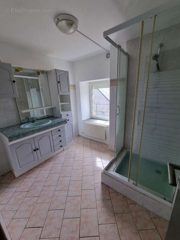 Brelidy - maison familiale en tbe - photo 12