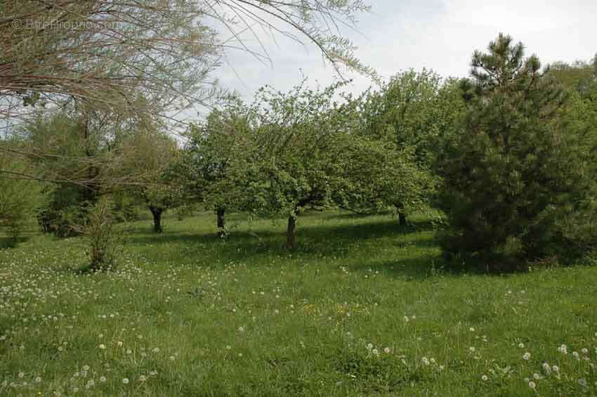 Maison à LENS-LESTANG