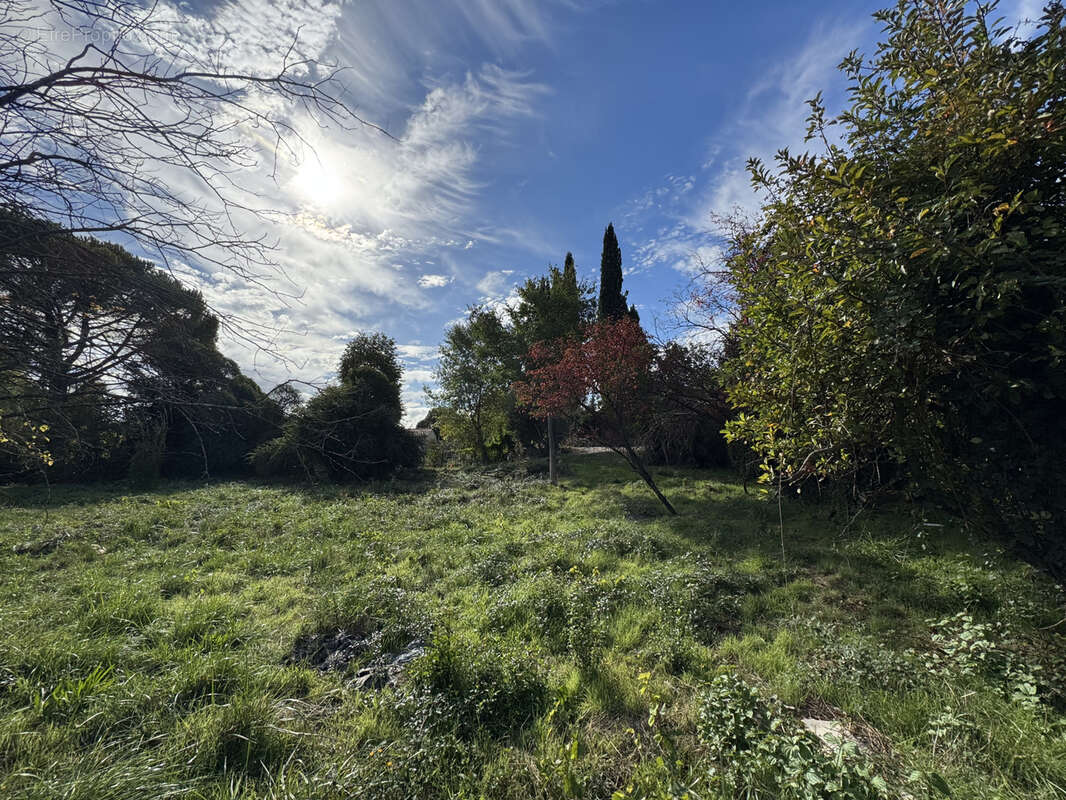 Terrain à CARNOULES