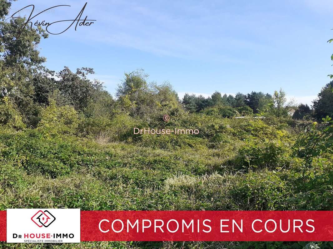 Terrain à OLIVET