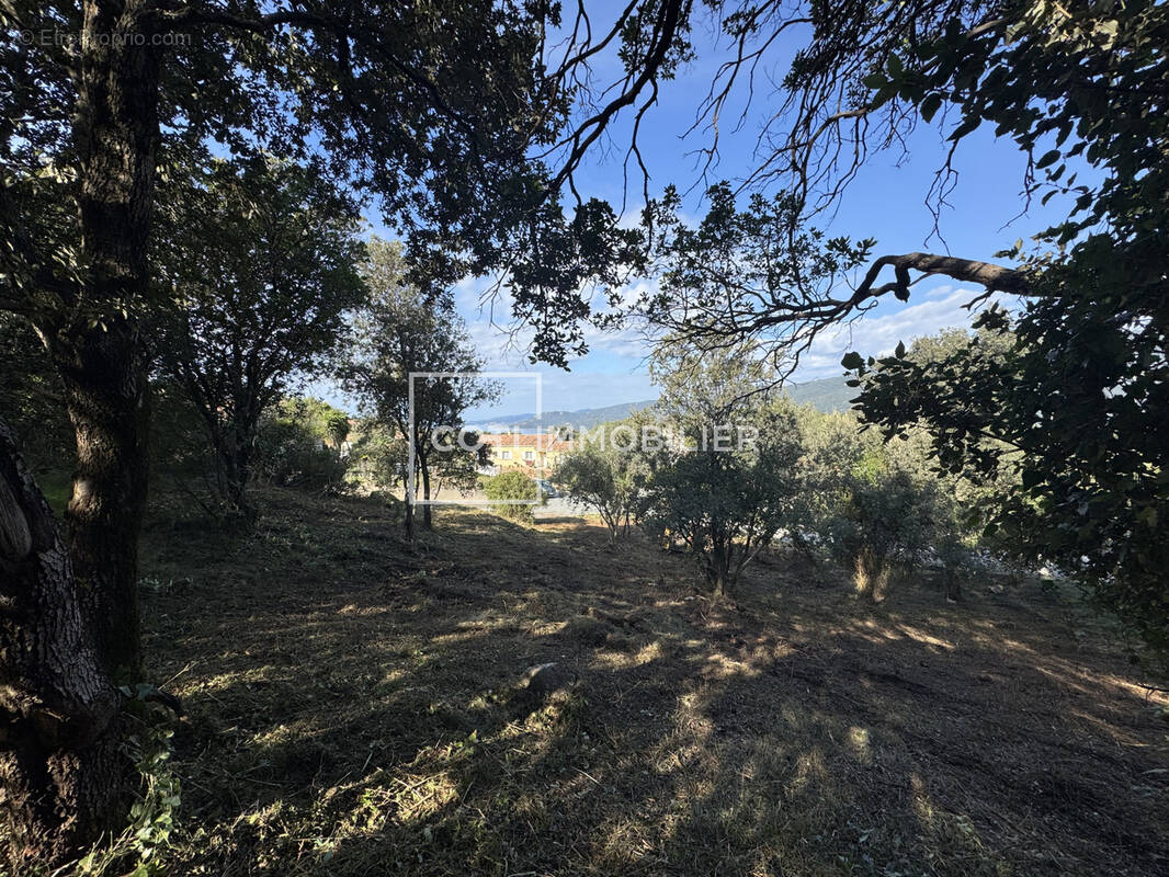 Terrain à VIGGIANELLO