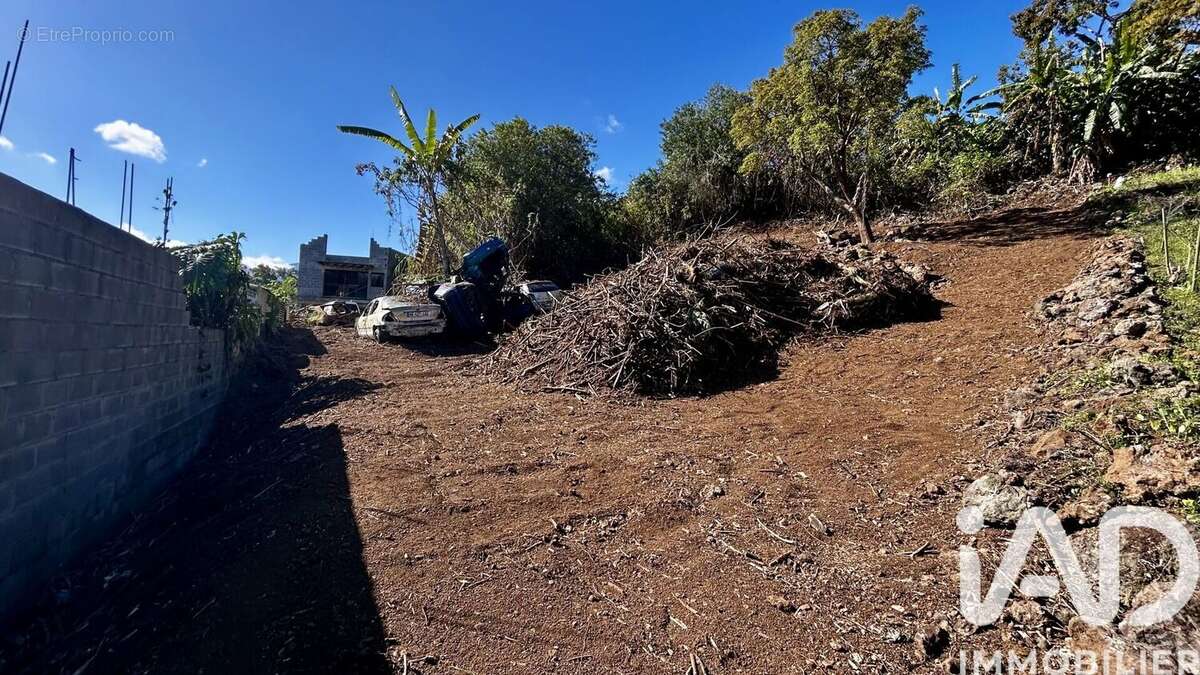 Photo 4 - Terrain à LE TAMPON