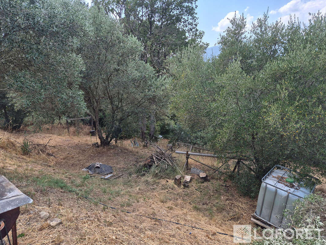 Maison Los Masos sur terrain de 4300m2 - photo 19