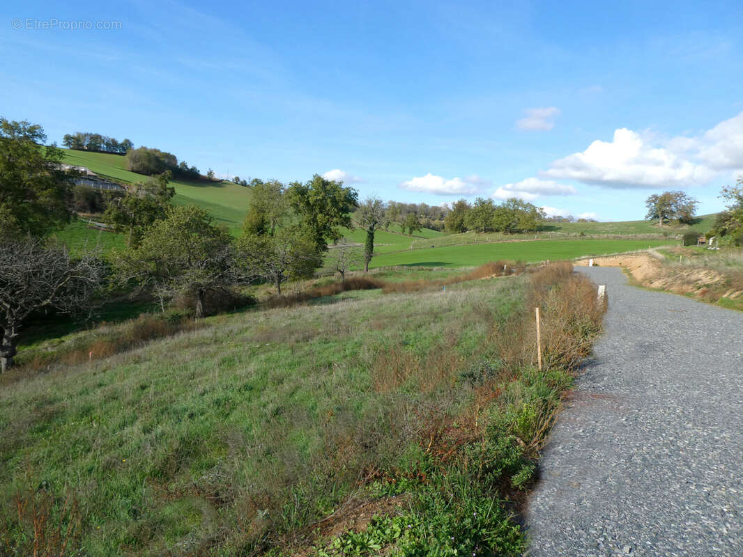 Terrain à SAINT-LAURENT-DE-CHAMOUSSET