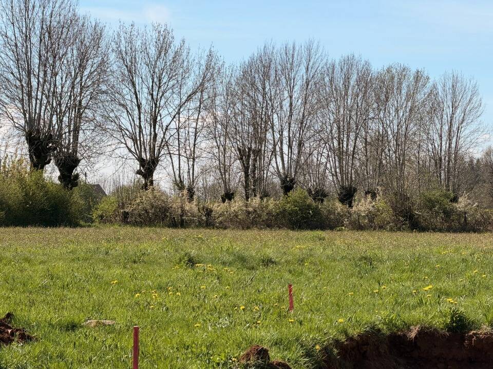 Terrain à THERONDELS