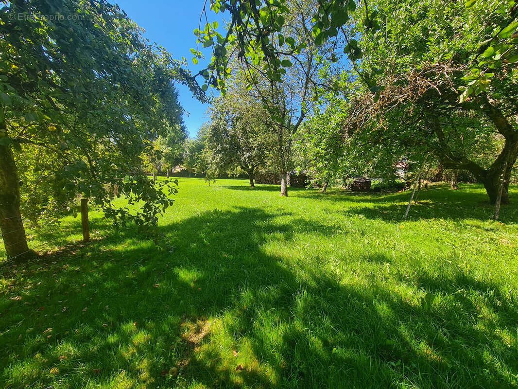 Photo 4 - Maison à ROUGEMONT