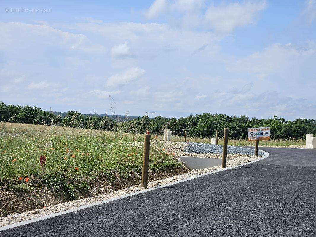 Terrain à CASTELNAU-DE-MONTMIRAL