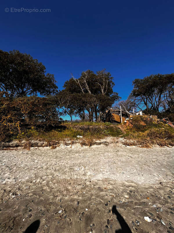 Terrain à POGGIO-MEZZANA