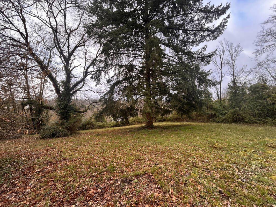 Terrain à LE PONT-CHRETIEN-CHABENET