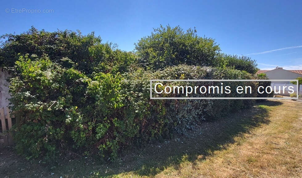 Terrain à LES SABLES-D&#039;OLONNE