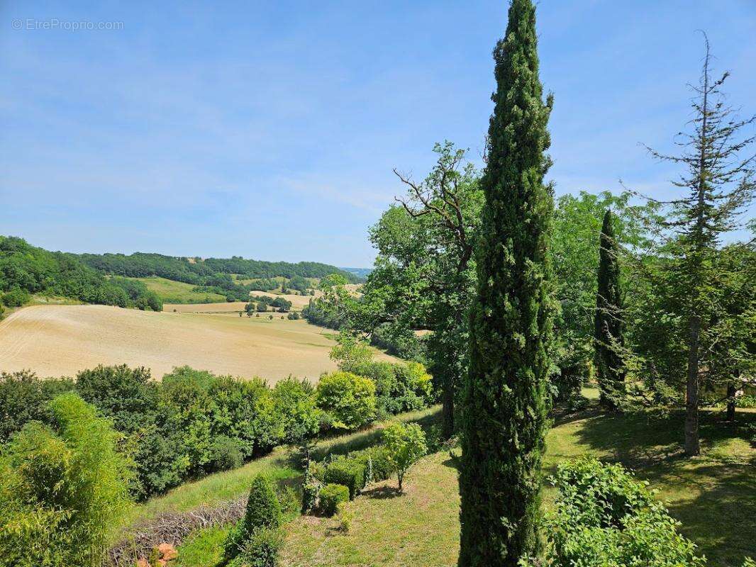 Domaine d'exception xixème  beauville (330 m²  - 14 hectares) - photo 6