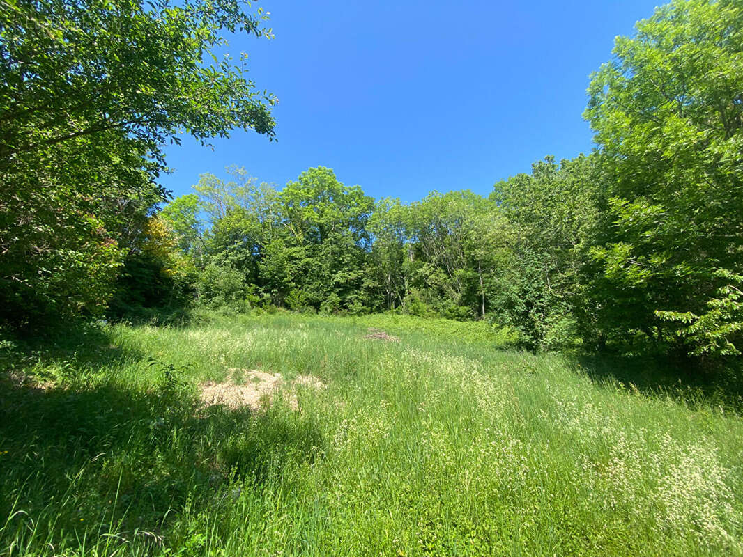 Terrain à SAINT-NIZIER-DU-MOUCHEROTTE