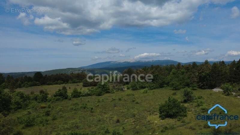 Grande propriété avec Piscine Naturelle - Élégance provençale entre Mont Ventoux et Luberon en EXCLUSIVITÉ - photo 25