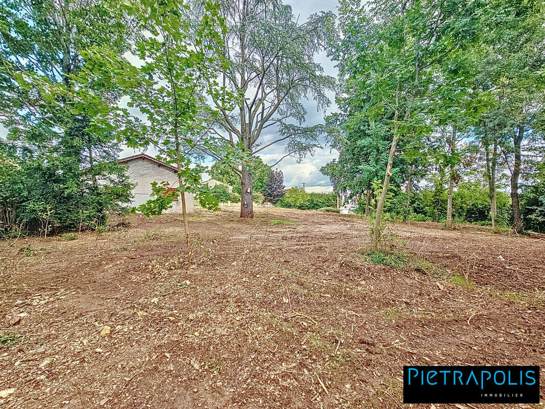 Terrain à LA CHAPELLE-DE-GUINCHAY
