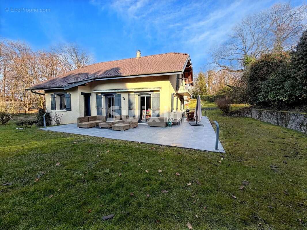 Maison à MASSONGY