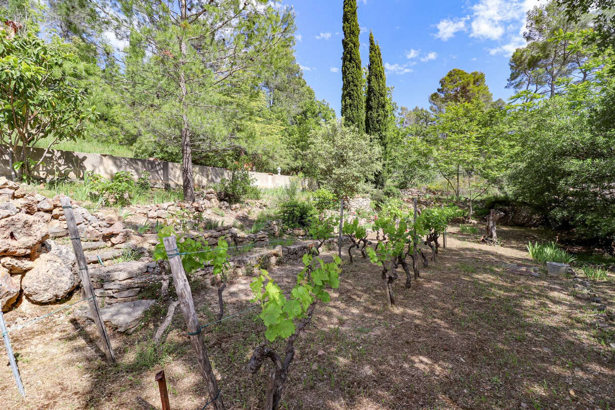 Villa traditionnelle avec piscine et pool house sur 6000m2 - photo 13