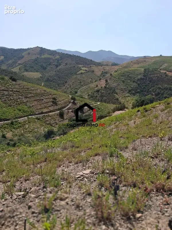 Terrain 7859 m² à Banyuls-Sur-Mer  - photo 2