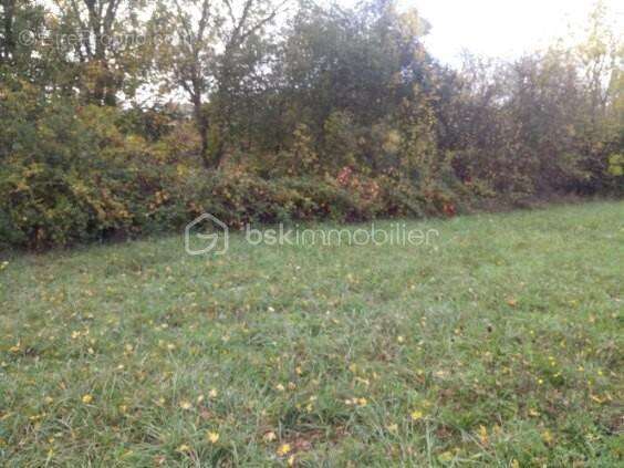 Terrain à SAINT-CYPRIEN