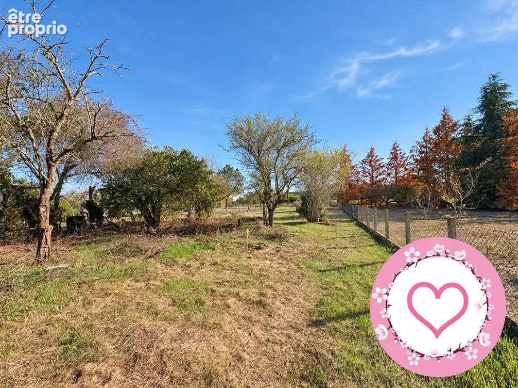Terrain 994 m² à vendre à Sully-Sur-Loire (45600) - photo 2
