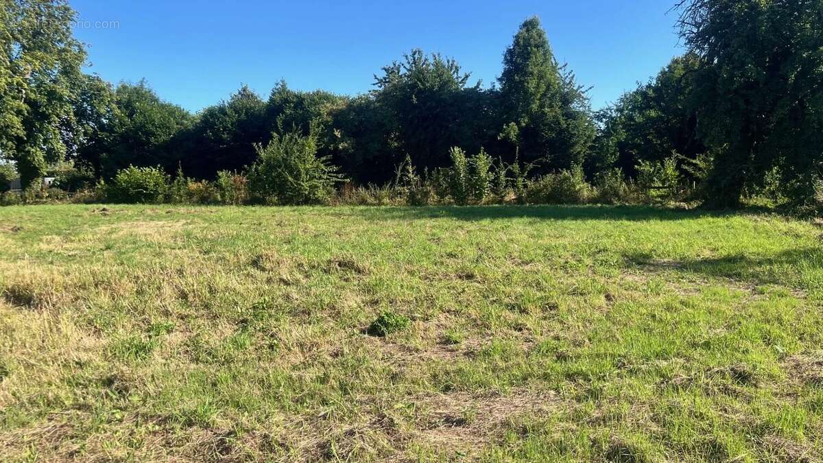 Terrain à PONT-L&#039;EVEQUE