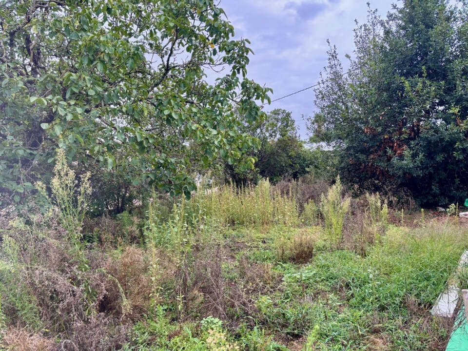 Terrain à SAINT-ESTEPHE